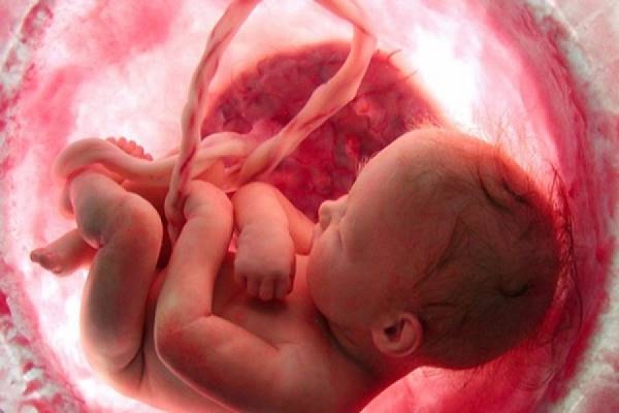 Lélegzetelállító videó a baba fejlődéséről! 
