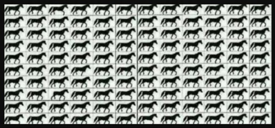 Teszteld le a szemed: Hány három lábú ló van a képen?