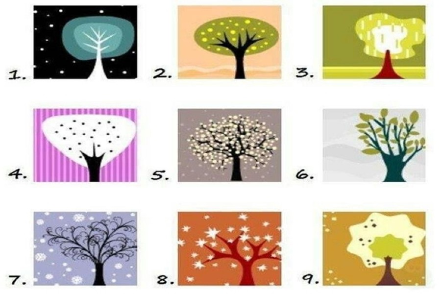 Melyik fa a legszimpatikusabb? Sok mindent megtudhatsz abból, hogy melyiket választod!